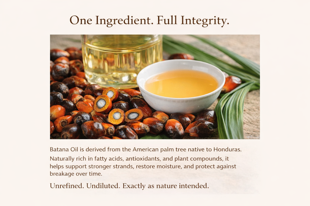 Batana Oil From Honduras - Get Fuller, Thicker, Healthier Hair - Great Gifts For Women  Men Conditioner Haircare Silky - Hair Nutrition